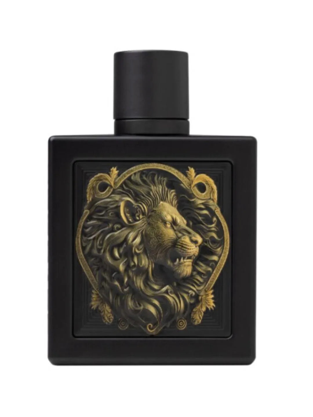 Rayhaan - Lion